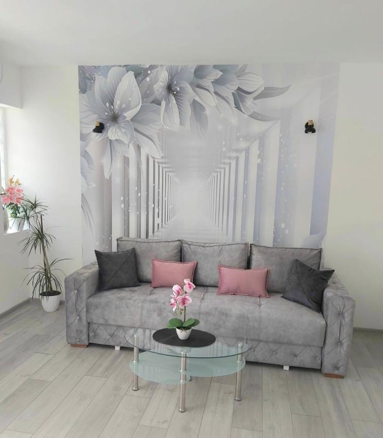 Apartment Marina 2 Kotor Dış mekan fotoğraf