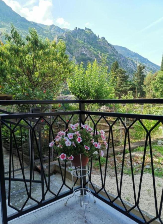 Apartment Marina 2 Kotor Dış mekan fotoğraf