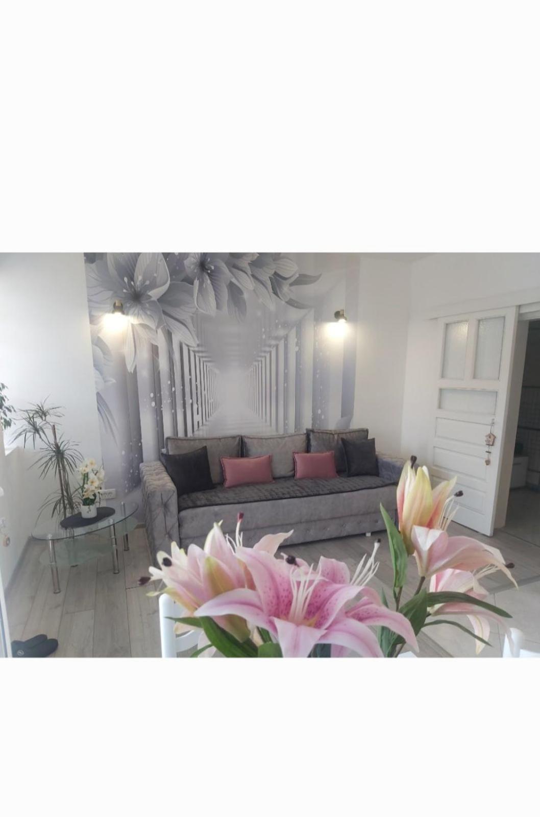 Apartment Marina 2 Kotor Dış mekan fotoğraf